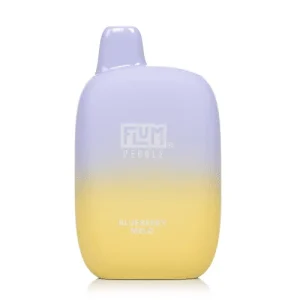 Blueberry Melo Flum Pebble