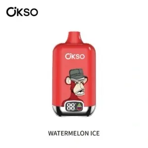OKSO Digital 12K Disposable Vape with Digital Display Wholesale