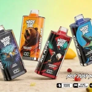 Waspe Bar 60K Disposable Vape with LED Screen Wholesale MOQ 50